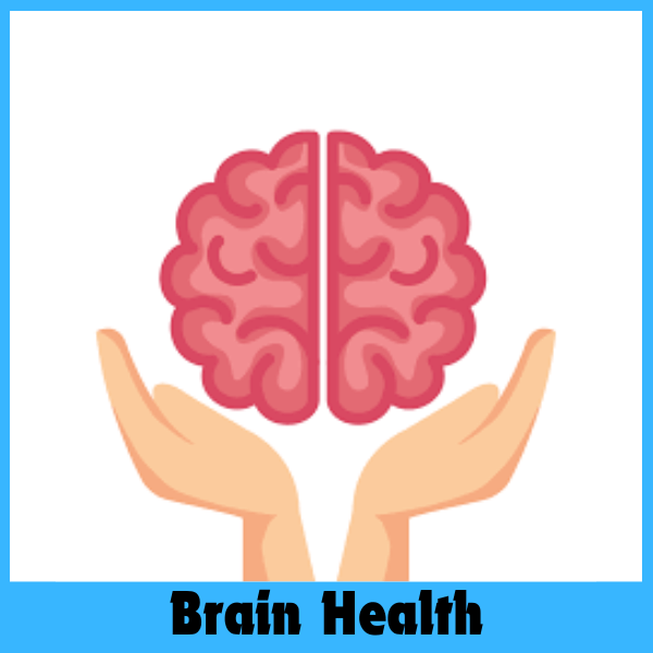 Brain Health Supplements